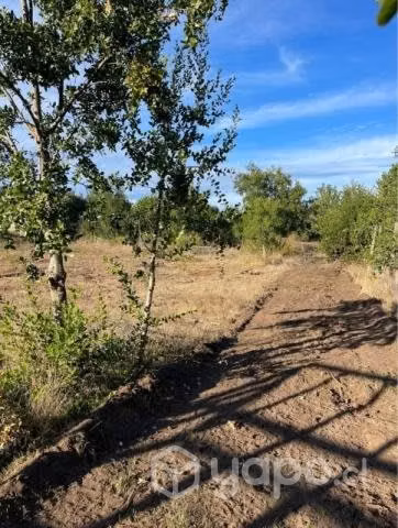 Parcela en Culenco