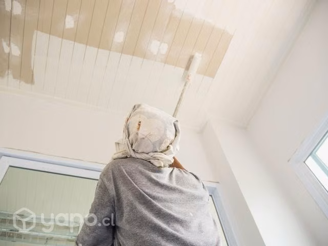 Pintor de casas