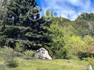 Sitio Lindo campo de 282 hect en Carretera Austral - Imagen 15