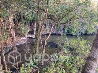 Parcela orilla lago Tarahuín a 10 minutos de Cho