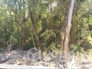 Parcela orilla lago Tarahuín a 10 minutos de Cho