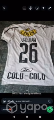 Colo colo