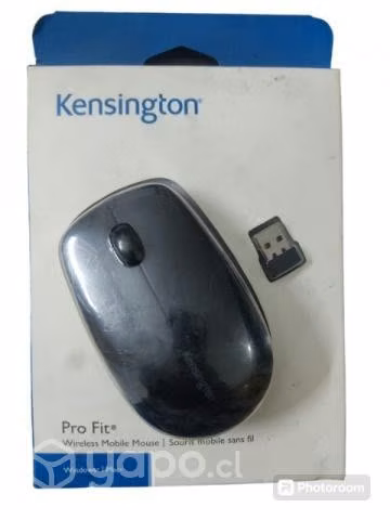 Mouse