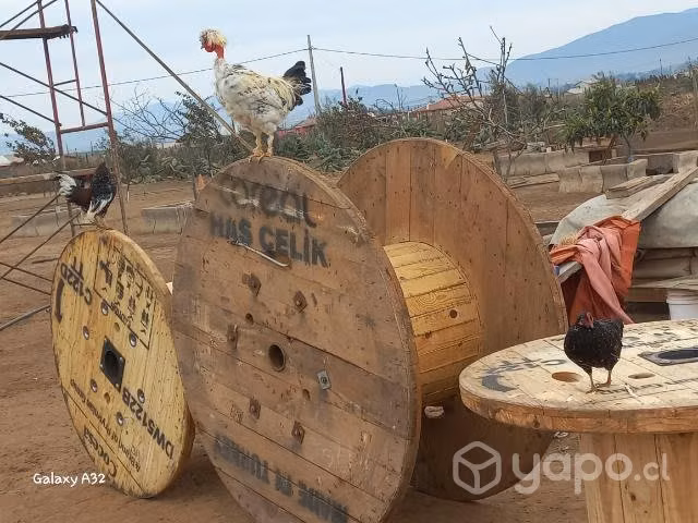 Carretes de madera