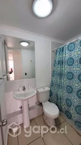 Arriendo año corrido, coquimbo