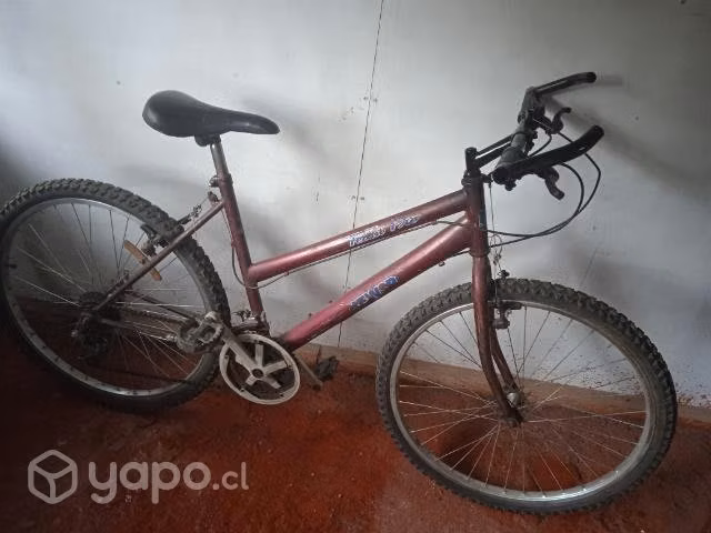 Bicicleta mountaibike aro 26
