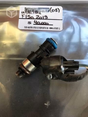 Inyector (01) Ford F