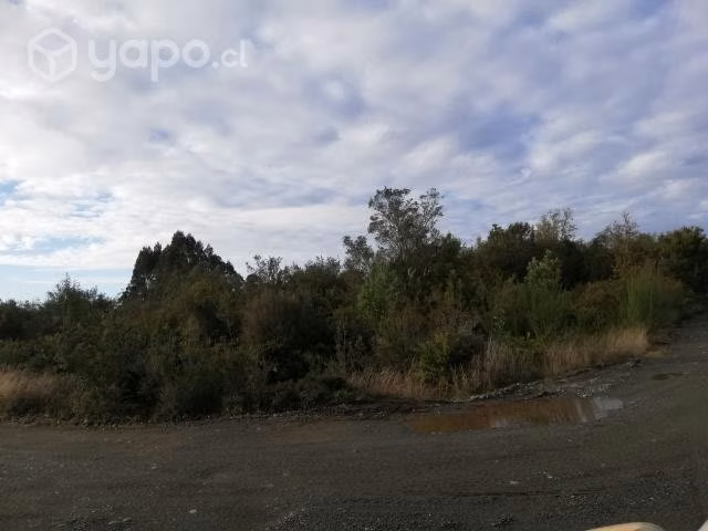 Vendo 1 hectarea de terreno - Imagen 5