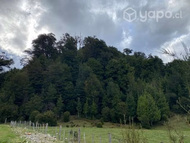 Parcela al lado de Villa Amengual,Lago Verde - Imagen 3