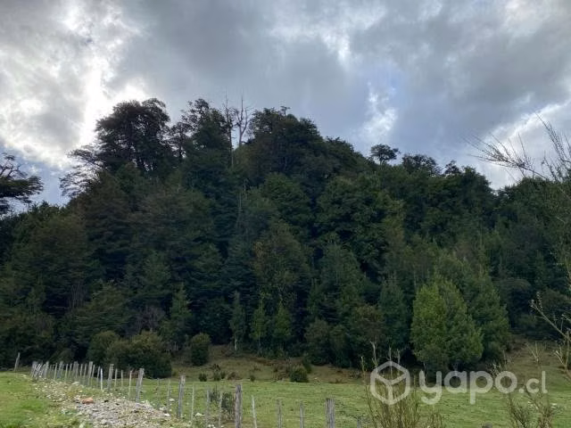Parcela en Villa Amengual,Lago Verde - Imagen 3