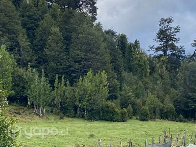 Parcela en Villa Amengual,Lago Verde - Imagen 5
