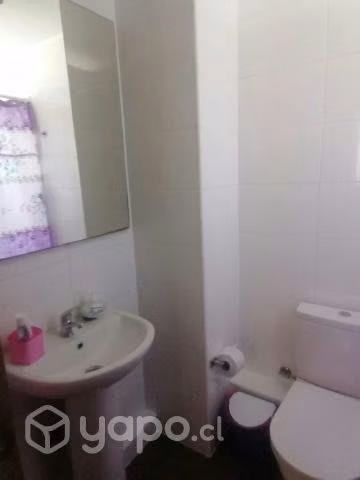 Departamento arrienda su dueño AÑO CORRIDO
