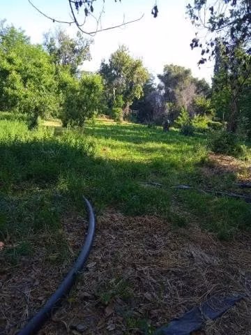 Venta de campo en alhue