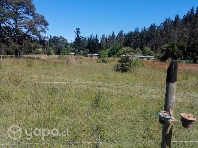 Terreno Patagual Sector Quebrada KM 22