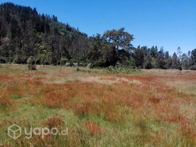 Terreno Patagual Sector Quebrada KM 22 - Imagen 2