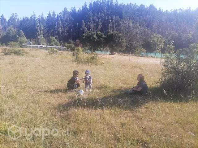 Terreno Patagual Sector Quebrada KM 22 - Imagen 5