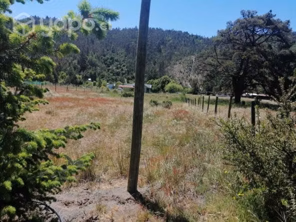 Terreno Patagual Sector Quebrada KM 22 - Imagen 3
