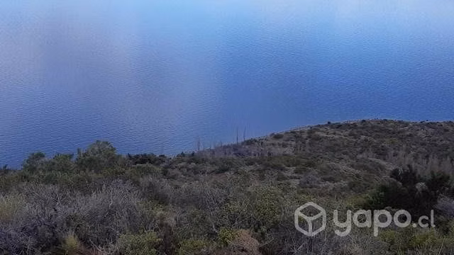 Campo de 155 Ha - Imagen 2