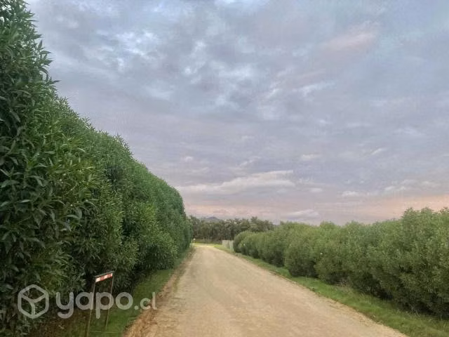 Venta Parcela 6200 m2 Los Quillayes Talagante