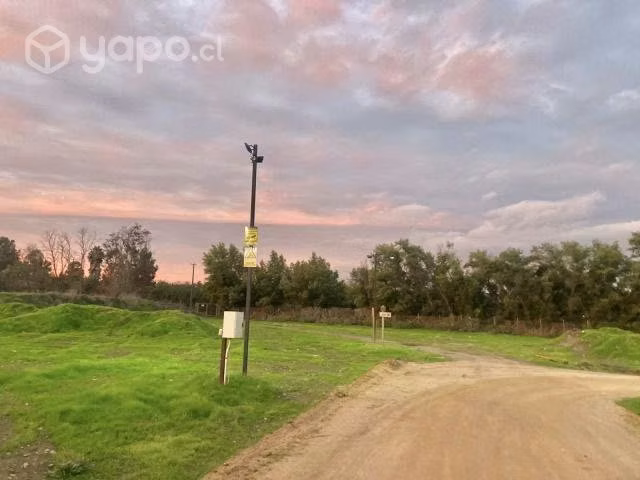 Venta Parcela 6200 m2 Los Quillayes Talagante