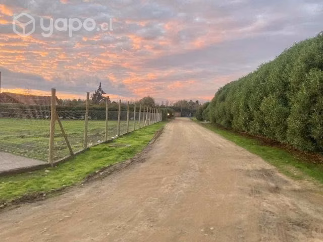 Venta Parcela 6200 m2 Los Quillayes Talagante
