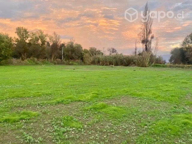 Venta Parcela 6200 m2 Los Quillayes Talagante