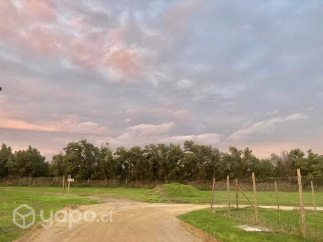 Venta Parcela 6200 m2 Los Quillayes Talagante