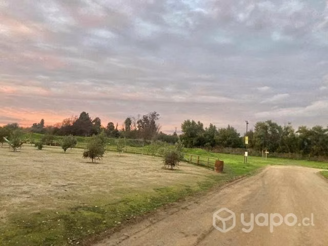Venta Parcela 6200 m2 Los Quillayes Talagante