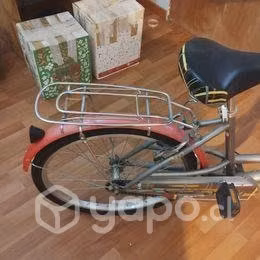 Bicicleta de paseo con canastillo