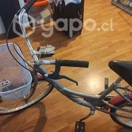 Bicicleta de paseo con canastillo