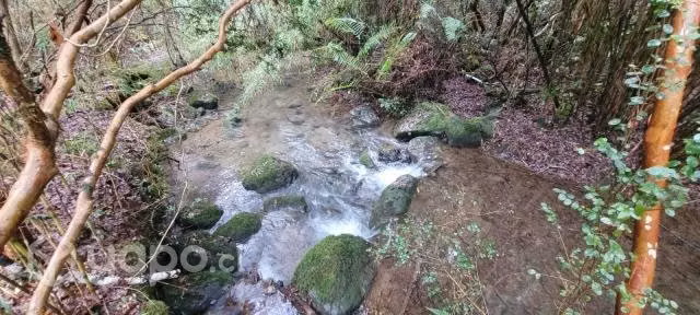Parcela En Villarrica, Molco Alto