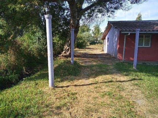 Casa en venta por cambio de ciudad - Imagen 2