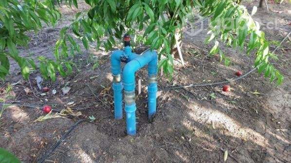 Terreno agricola - Imagen 2