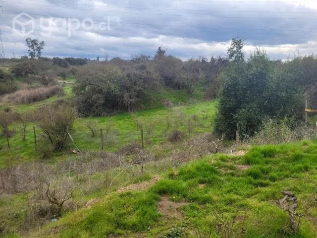 Terreno de 5.000 Mt2 con casa de 400 mt2 aprox