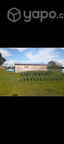 Venta de media hectárea con casa en construcción