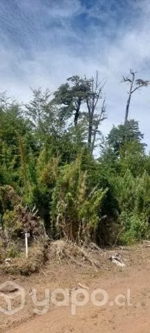 Venta de terreno. - Imagen 5