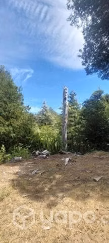 Venta de terreno. - Imagen 4