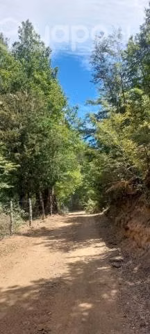 Venta de terreno. - Imagen 3