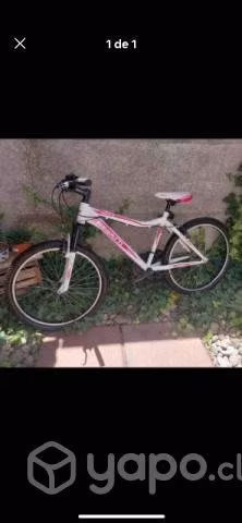 Bicicleta besatti aro 24 sin uso