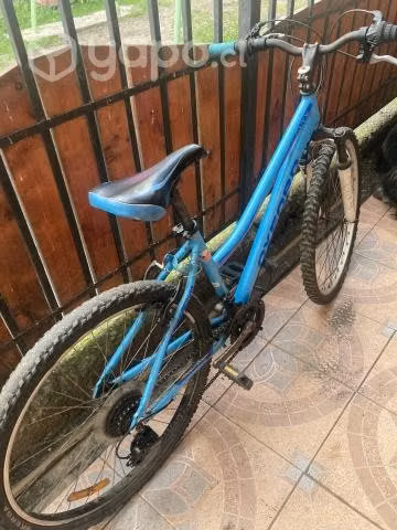 Bicicleta buen estado
