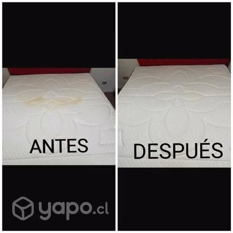 Limpieza del hogar - Imagen 6