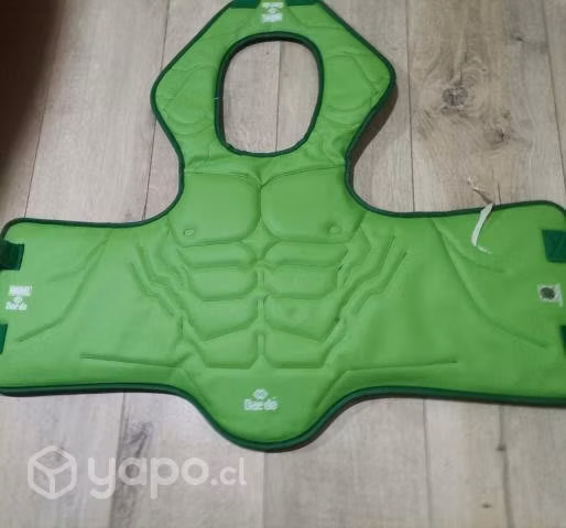 Peto taekwondo hulk