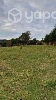 Parcela en Chiloe