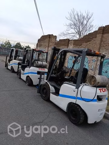 Gruas horquillas tcm