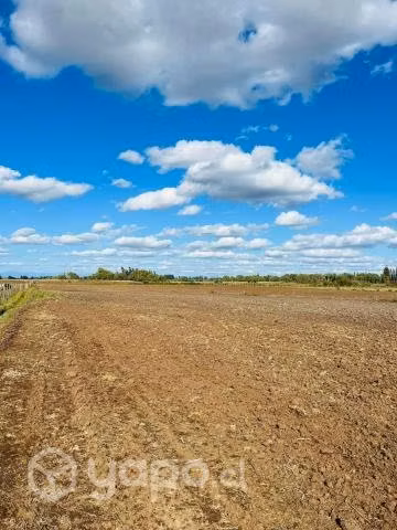 CAMPO 7 hectareas en 3 esquinas de bulnes