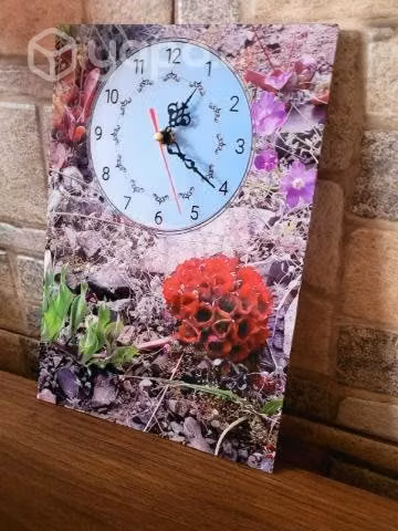Reloj mural de pared desierto