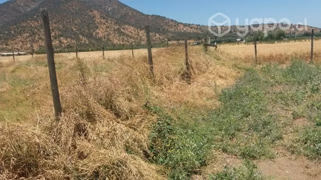 Parcela a minutos del lago rapel