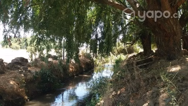 Parcela a minutos del lago rapel