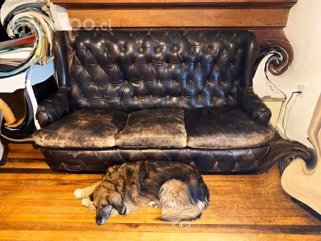 Sofá Sillón antiguo de cuero