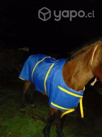 Carpas y peleros para caballos
